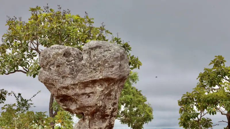  <div class='credito_fotos'>Foto: Bruno Cruz / Ag. Pará &nbsp;&nbsp;|&nbsp;&nbsp; <a href='/midias/2025/originais/20250125171811-GF00022803-F00372098.jpg' download><i class='fa-solid fa-download'></i> Download</a></div>