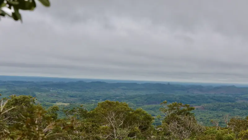  <div class='credito_fotos'>Foto: Bruno Cruz / Ag. Pará &nbsp;&nbsp;|&nbsp;&nbsp; <a href='/midias/2025/originais/20250125171812-GF00022803-F00372099.jpg' download><i class='fa-solid fa-download'></i> Download</a></div>