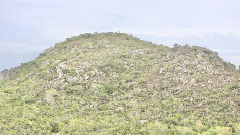  <div class='credito_fotos'>Foto: Bruno Cruz / Ag. Pará &nbsp;&nbsp;|&nbsp;&nbsp; <a href='/midias/2025/originais/20250125171835-GF00022803-F00372115.jpg' download><i class='fa-solid fa-download'></i> Download</a></div>