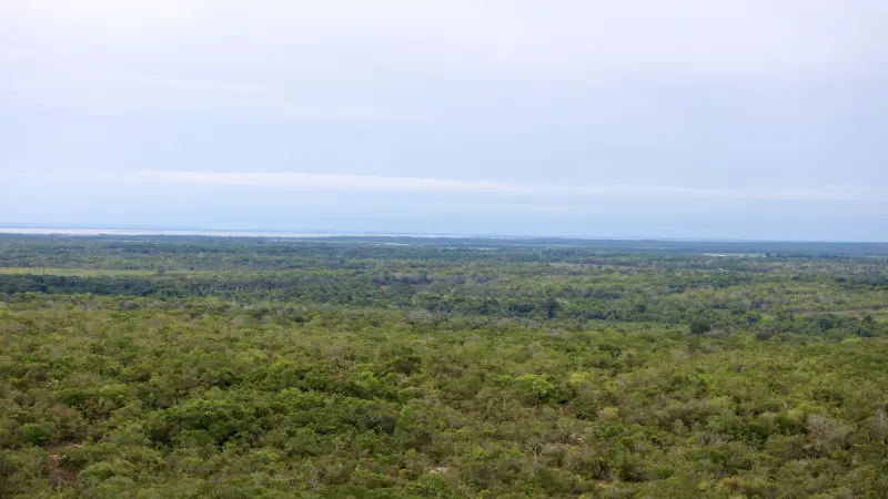  <div class='credito_fotos'>Foto: Bruno Cruz / Ag. Pará &nbsp;&nbsp;|&nbsp;&nbsp; <a href='/midias/2025/originais/20250125171836-GF00022803-F00372116.jpg' download><i class='fa-solid fa-download'></i> Download</a></div>