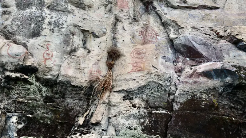  <div class='credito_fotos'>Foto: Bruno Cruz / Ag. Pará &nbsp;&nbsp;|&nbsp;&nbsp; <a href='/midias/2025/originais/20250125171837-GF00022803-F00372117.jpg' download><i class='fa-solid fa-download'></i> Download</a></div>