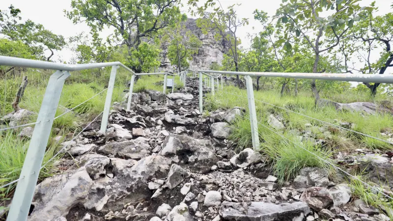  <div class='credito_fotos'>Foto: Bruno Cruz / Ag. Pará &nbsp;&nbsp;|&nbsp;&nbsp; <a href='/midias/2025/originais/20250125171847-GF00022803-F00372124.jpg' download><i class='fa-solid fa-download'></i> Download</a></div>