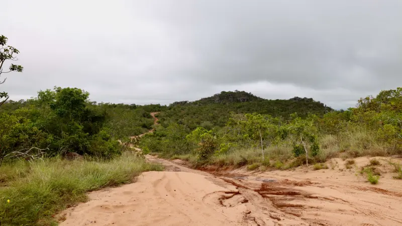  <div class='credito_fotos'>Foto: Bruno Cruz / Ag. Pará &nbsp;&nbsp;|&nbsp;&nbsp; <a href='/midias/2025/originais/20250125171849-GF00022803-F00372125.jpg' download><i class='fa-solid fa-download'></i> Download</a></div>