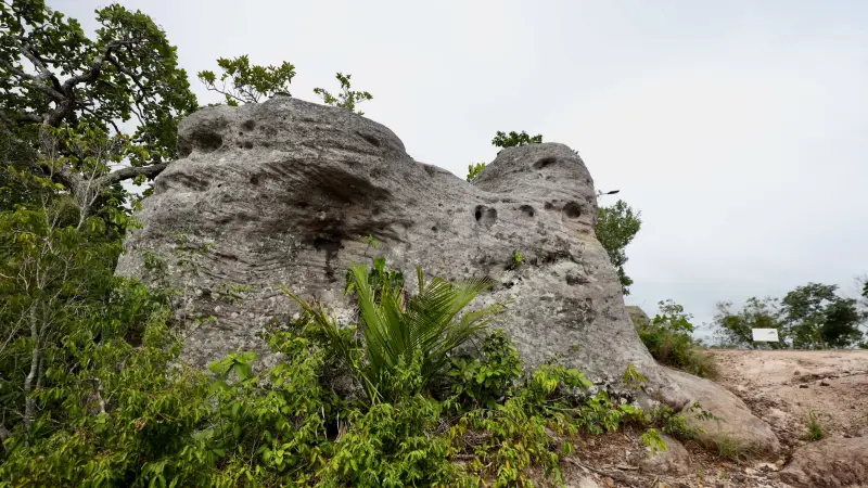  <div class='credito_fotos'>Foto: Bruno Cruz / Ag. Pará &nbsp;&nbsp;|&nbsp;&nbsp; <a href='/midias/2025/originais/20250125171850-GF00022803-F00372126.jpg' download><i class='fa-solid fa-download'></i> Download</a></div>