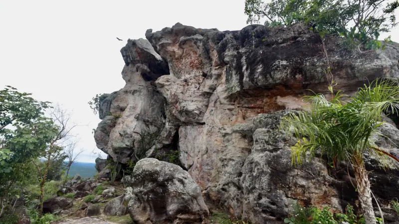  <div class='credito_fotos'>Foto: Bruno Cruz / Ag. Pará &nbsp;&nbsp;|&nbsp;&nbsp; <a href='/midias/2025/originais/20250125171854-GF00022803-F00372129.jpg' download><i class='fa-solid fa-download'></i> Download</a></div>