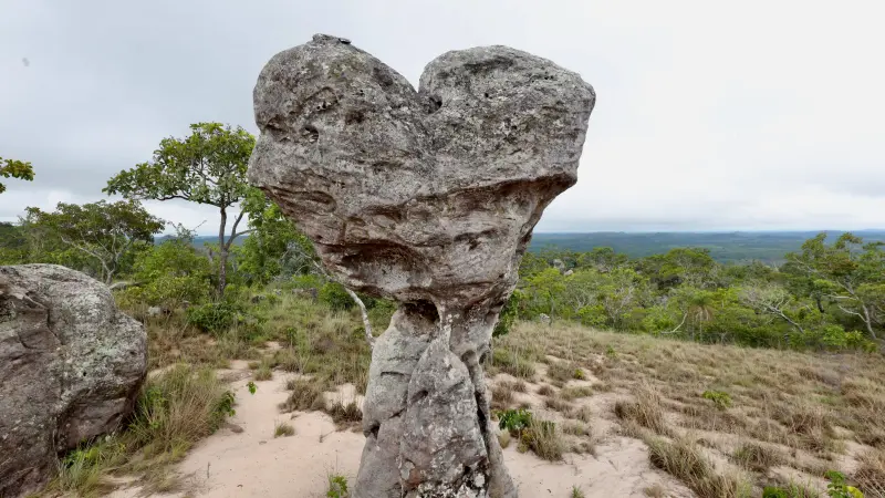  <div class='credito_fotos'>Foto: Bruno Cruz / Ag. Pará &nbsp;&nbsp;|&nbsp;&nbsp; <a href='/midias/2025/originais/20250125171940-GF00022803-F00372130.jpg' download><i class='fa-solid fa-download'></i> Download</a></div>