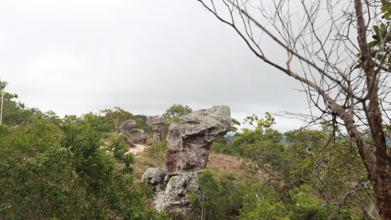  <div class='credito_fotos'>Foto: Bruno Cruz / Ag. Pará &nbsp;&nbsp;|&nbsp;&nbsp; <a href='/midias/2025/originais/20250125171945-GF00022803-F00372133.jpg' download><i class='fa-solid fa-download'></i> Download</a></div>