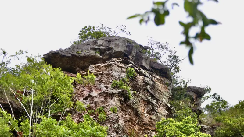  <div class='credito_fotos'>Foto: Bruno Cruz / Ag. Pará &nbsp;&nbsp;|&nbsp;&nbsp; <a href='/midias/2025/originais/20250125171952-GF00022803-F00372138.jpg' download><i class='fa-solid fa-download'></i> Download</a></div>