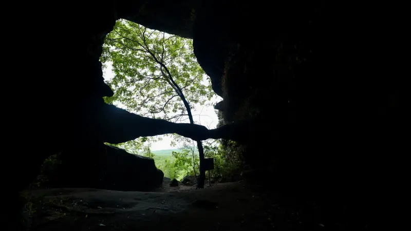  <div class='credito_fotos'>Foto: Bruno Cruz / Ag. Pará &nbsp;&nbsp;|&nbsp;&nbsp; <a href='/midias/2025/originais/20250125171953-GF00022803-F00372139.jpg' download><i class='fa-solid fa-download'></i> Download</a></div>