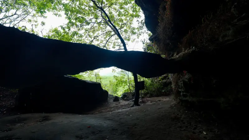  <div class='credito_fotos'>Foto: Bruno Cruz / Ag. Pará &nbsp;&nbsp;|&nbsp;&nbsp; <a href='/midias/2025/originais/20250125171954-GF00022803-F00372140.jpg' download><i class='fa-solid fa-download'></i> Download</a></div>