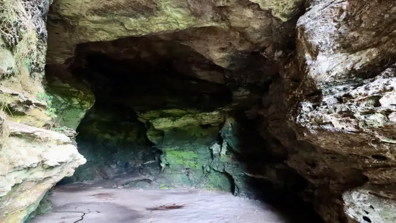  <div class='credito_fotos'>Foto: Bruno Cruz / Ag. Pará &nbsp;&nbsp;|&nbsp;&nbsp; <a href='/midias/2025/originais/20250125171955-GF00022803-F00372141.jpg' download><i class='fa-solid fa-download'></i> Download</a></div>