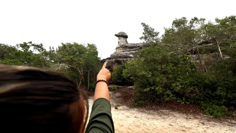  <div class='credito_fotos'>Foto: Bruno Cruz / Ag. Pará &nbsp;&nbsp;|&nbsp;&nbsp; <a href='/midias/2025/originais/20250125171957-GF00022803-F00372142.jpg' download><i class='fa-solid fa-download'></i> Download</a></div>