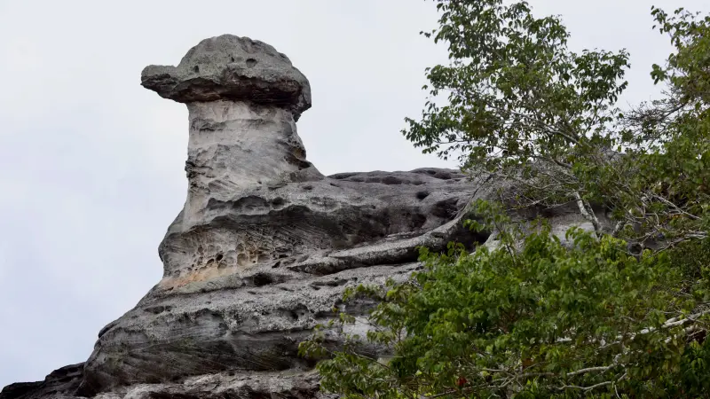  <div class='credito_fotos'>Foto: Bruno Cruz / Ag. Pará &nbsp;&nbsp;|&nbsp;&nbsp; <a href='/midias/2025/originais/20250125171958-GF00022803-F00372143.jpg' download><i class='fa-solid fa-download'></i> Download</a></div>