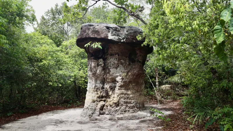  <div class='credito_fotos'>Foto: Bruno Cruz / Ag. Pará &nbsp;&nbsp;|&nbsp;&nbsp; <a href='/midias/2025/originais/20250125172000-GF00022803-F00372144.jpg' download><i class='fa-solid fa-download'></i> Download</a></div>