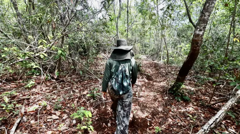  <div class='credito_fotos'>Foto: Bruno Cruz / Ag. Pará &nbsp;&nbsp;|&nbsp;&nbsp; <a href='/midias/2025/originais/20250125172001-GF00022803-F00372145.jpg' download><i class='fa-solid fa-download'></i> Download</a></div>