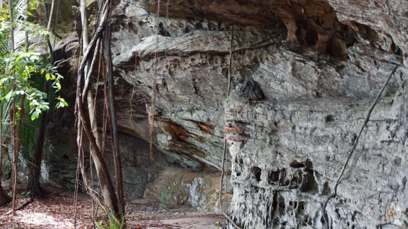  <div class='credito_fotos'>Foto: Bruno Cruz / Ag. Pará &nbsp;&nbsp;|&nbsp;&nbsp; <a href='/midias/2025/originais/20250125172007-GF00022803-F00372150.jpg' download><i class='fa-solid fa-download'></i> Download</a></div>