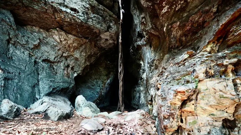  <div class='credito_fotos'>Foto: Bruno Cruz / Ag. Pará &nbsp;&nbsp;|&nbsp;&nbsp; <a href='/midias/2025/originais/20250125172009-GF00022803-F00372151.jpg' download><i class='fa-solid fa-download'></i> Download</a></div>