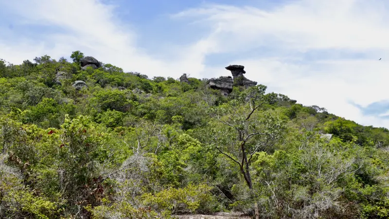  <div class='credito_fotos'>Foto: Bruno Cruz / Ag. Pará &nbsp;&nbsp;|&nbsp;&nbsp; <a href='/midias/2025/originais/20250125172010-GF00022803-F00372152.jpg' download><i class='fa-solid fa-download'></i> Download</a></div>