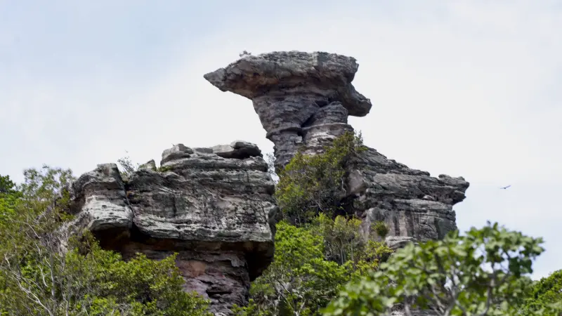  <div class='credito_fotos'>Foto: Bruno Cruz / Ag. Pará &nbsp;&nbsp;|&nbsp;&nbsp; <a href='/midias/2025/originais/20250125172013-GF00022803-F00372154.jpg' download><i class='fa-solid fa-download'></i> Download</a></div>