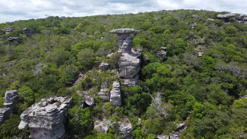 DCIM\100MEDIA\DJI_0412.JPG <div class='credito_fotos'>Foto: Alexandre Costa / Ag. Pará &nbsp;&nbsp;|&nbsp;&nbsp; <a href='/midias/2025/originais/20250125211438-GF00022803-F00372162.jpg' download><i class='fa-solid fa-download'></i> Download</a></div>
