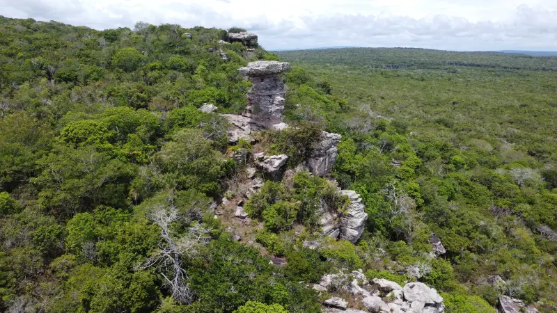 DCIM\100MEDIA\DJI_0410.JPG <div class='credito_fotos'>Foto: Alexandre Costa / Ag. Pará &nbsp;&nbsp;|&nbsp;&nbsp; <a href='/midias/2025/originais/20250125211445-GF00022803-F00372166.jpg' download><i class='fa-solid fa-download'></i> Download</a></div>