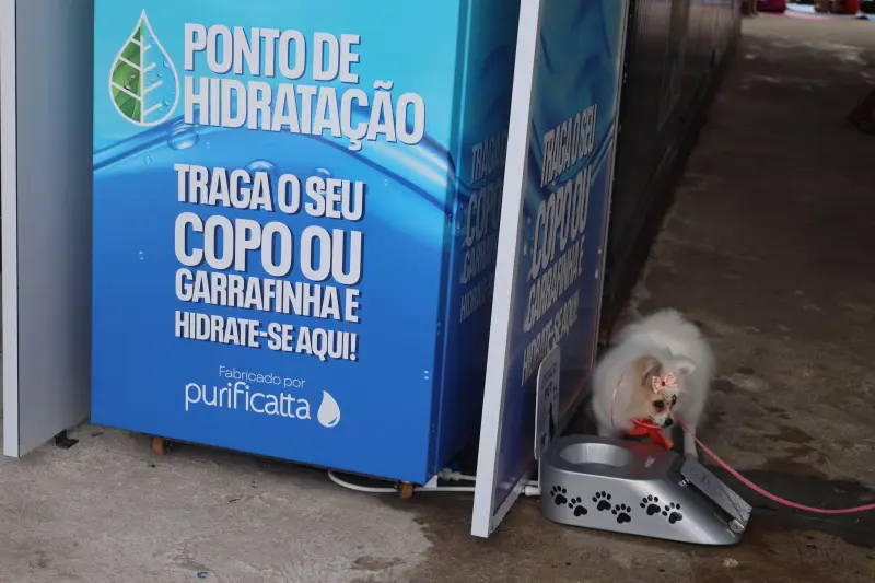  <div class='credito_fotos'>Foto: Bruno Cecim / Ag.Pará &nbsp;&nbsp;|&nbsp;&nbsp; <a href='/midias/2025/originais/20250208105359-GF00022941-F00376278.jpg' download><i class='fa-solid fa-download'></i> Download</a></div>