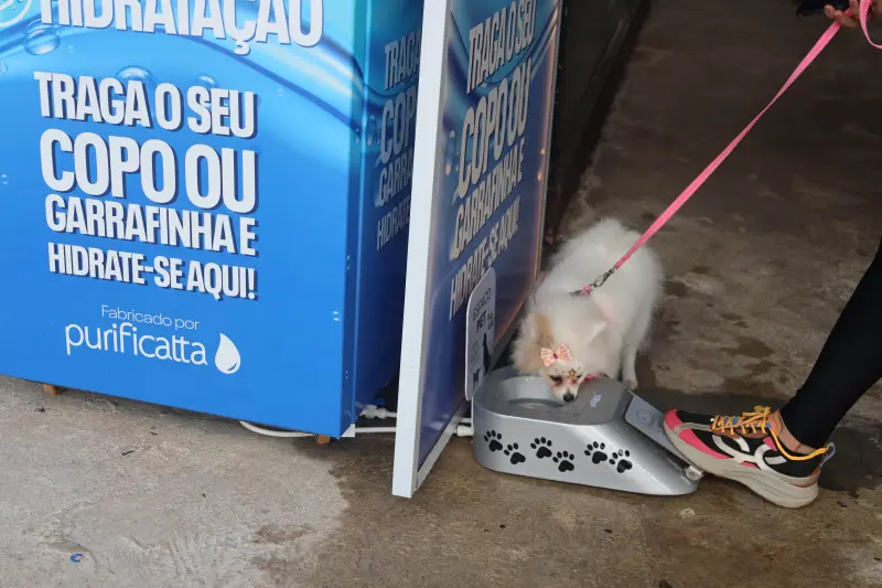  <div class='credito_fotos'>Foto: Bruno Cecim / Ag.Pará &nbsp;&nbsp;|&nbsp;&nbsp; <a href='/midias/2025/originais/20250208105414-GF00022941-F00376281.jpg' download><i class='fa-solid fa-download'></i> Download</a></div>