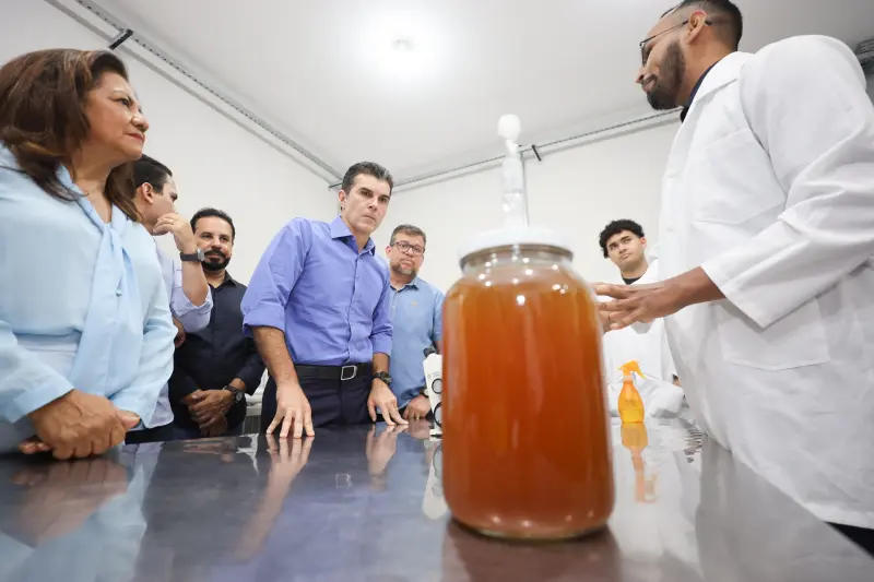  <div class='credito_fotos'>Foto: Bruno Cecim / Ag.Pará &nbsp;&nbsp;|&nbsp;&nbsp; <a href='/midias/2025/originais/20250210121418-GF00022946-F00376454.jpg' download><i class='fa-solid fa-download'></i> Download</a></div>