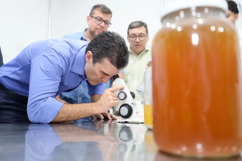  <div class='credito_fotos'>Foto: Bruno Cecim / Ag.Pará &nbsp;&nbsp;|&nbsp;&nbsp; <a href='/midias/2025/originais/20250210121420-GF00022946-F00376455.jpg' download><i class='fa-solid fa-download'></i> Download</a></div>