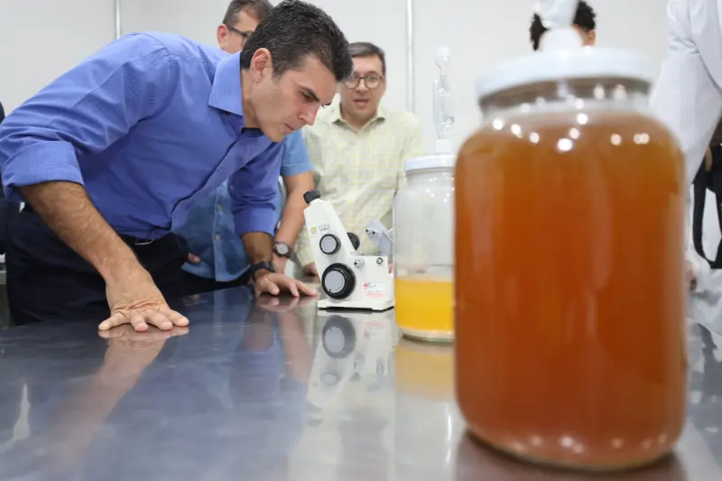  <div class='credito_fotos'>Foto: Bruno Cecim / Ag.Pará &nbsp;&nbsp;|&nbsp;&nbsp; <a href='/midias/2025/originais/20250210121423-GF00022946-F00376457.jpg' download><i class='fa-solid fa-download'></i> Download</a></div>