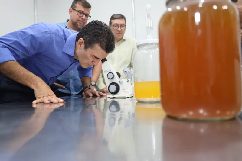  <div class='credito_fotos'>Foto: Bruno Cecim / Ag.Pará &nbsp;&nbsp;|&nbsp;&nbsp; <a href='/midias/2025/originais/20250210121424-GF00022946-F00376458.jpg' download><i class='fa-solid fa-download'></i> Download</a></div>