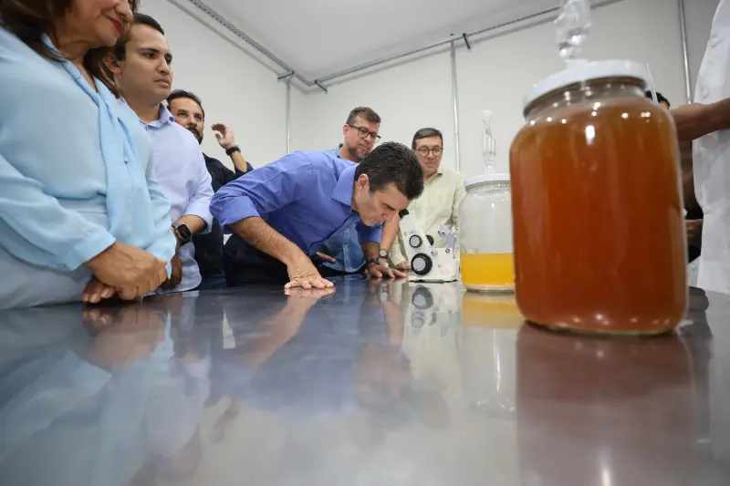  <div class='credito_fotos'>Foto: Bruno Cecim / Ag.Pará &nbsp;&nbsp;|&nbsp;&nbsp; <a href='/midias/2025/originais/20250210121426-GF00022946-F00376459.jpg' download><i class='fa-solid fa-download'></i> Download</a></div>