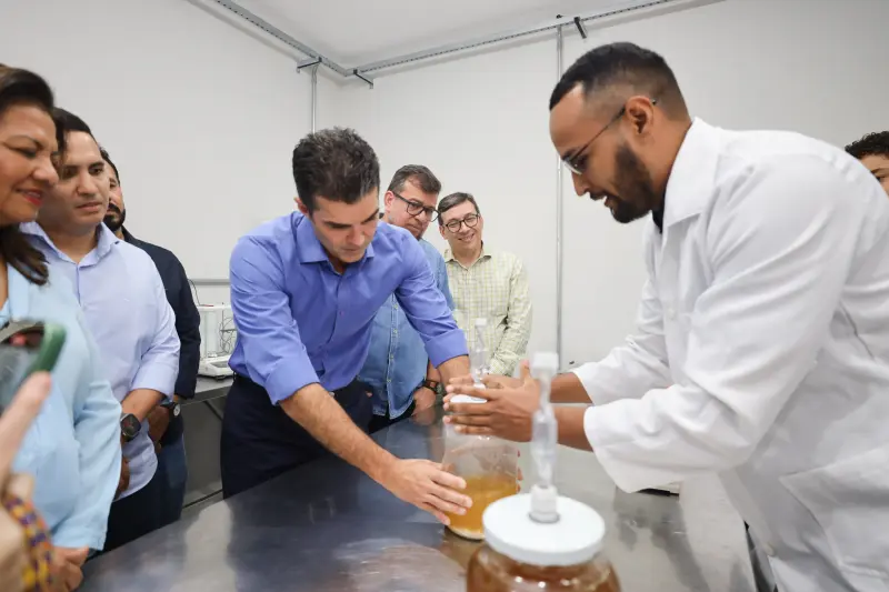  <div class='credito_fotos'>Foto: Bruno Cecim / Ag.Pará &nbsp;&nbsp;|&nbsp;&nbsp; <a href='/midias/2025/originais/20250210121434-GF00022946-F00376464.jpg' download><i class='fa-solid fa-download'></i> Download</a></div>