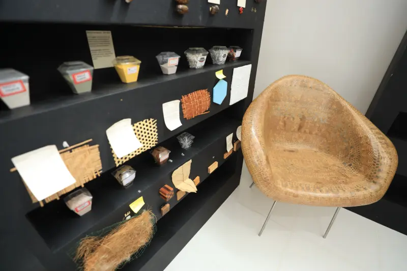  <div class='credito_fotos'>Foto: Bruno Cecim / Ag.Pará &nbsp;&nbsp;|&nbsp;&nbsp; <a href='/midias/2025/originais/20250210121548-GF00022946-F00376507.jpg' download><i class='fa-solid fa-download'></i> Download</a></div>