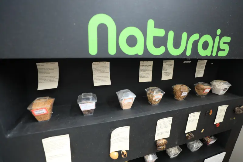  <div class='credito_fotos'>Foto: Bruno Cecim / Ag.Pará &nbsp;&nbsp;|&nbsp;&nbsp; <a href='/midias/2025/originais/20250210121550-GF00022946-F00376508.jpg' download><i class='fa-solid fa-download'></i> Download</a></div>