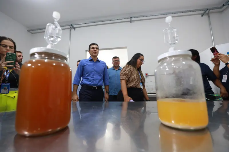  <div class='credito_fotos'>Foto: Bruno Cruz / Ag. Pará &nbsp;&nbsp;|&nbsp;&nbsp; <a href='/midias/2025/originais/20250210130001-GF00022944-F00376549.jpg' download><i class='fa-solid fa-download'></i> Download</a></div>