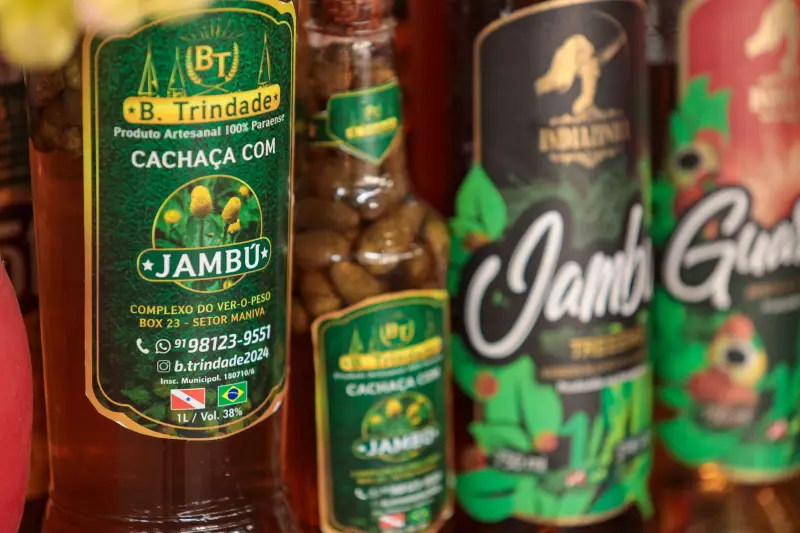  <div class='credito_fotos'>Foto: Pedro Guerreiro / Ag. Pará &nbsp;&nbsp;|&nbsp;&nbsp; <a href='/midias/2025/originais/20250211155132-GF00022967-F00377135.jpg' download><i class='fa-solid fa-download'></i> Download</a></div>