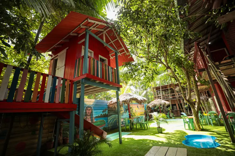  <div class='credito_fotos'>Foto: Pedro Guerreiro / Ag. Pará &nbsp;&nbsp;|&nbsp;&nbsp; <a href='/midias/2025/originais/20250211155143-GF00022967-F00377141.jpg' download><i class='fa-solid fa-download'></i> Download</a></div>