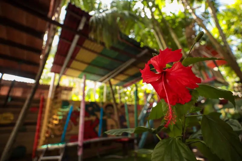  <div class='credito_fotos'>Foto: Pedro Guerreiro / Ag. Pará &nbsp;&nbsp;|&nbsp;&nbsp; <a href='/midias/2025/originais/20250211155145-GF00022967-F00377142.jpg' download><i class='fa-solid fa-download'></i> Download</a></div>