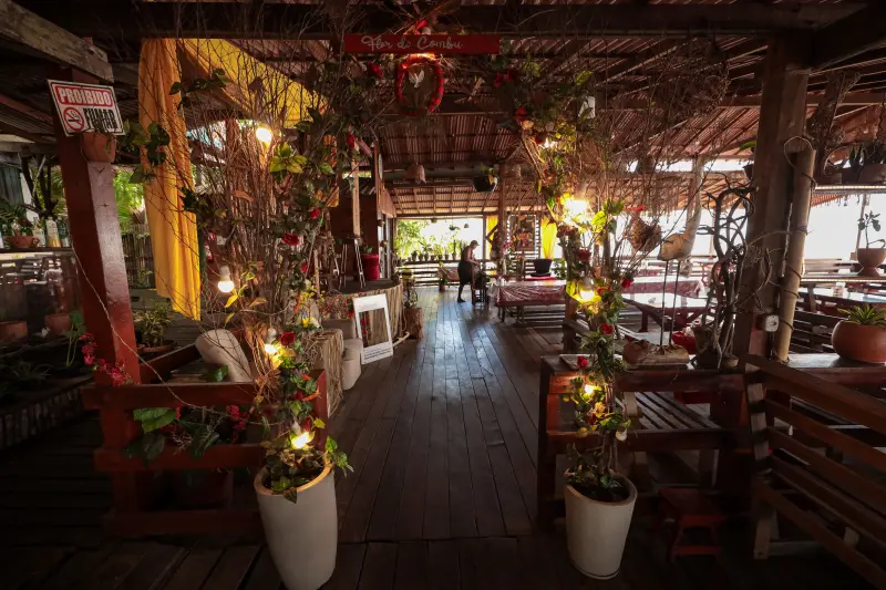  <div class='credito_fotos'>Foto: Pedro Guerreiro / Ag. Pará &nbsp;&nbsp;|&nbsp;&nbsp; <a href='/midias/2025/originais/20250211155154-GF00022967-F00377147.jpg' download><i class='fa-solid fa-download'></i> Download</a></div>