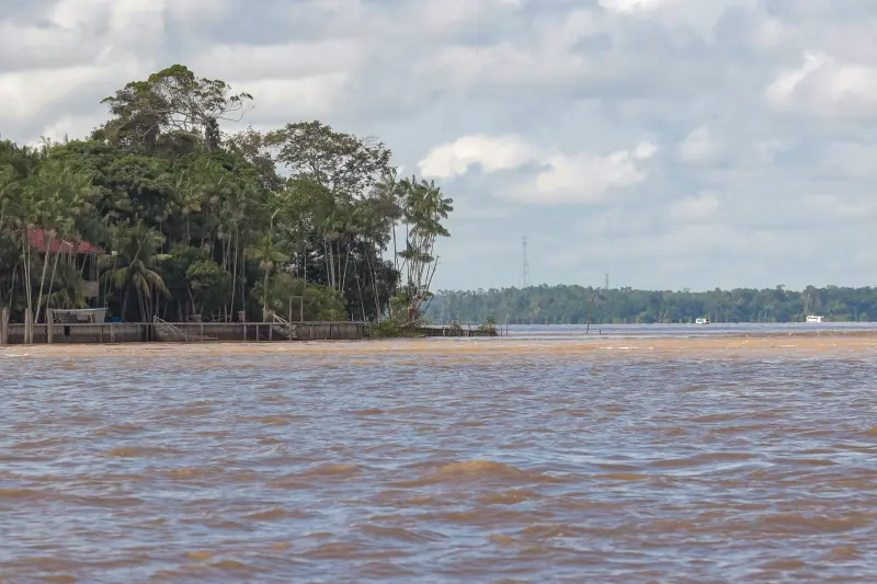  <div class='credito_fotos'>Foto: Pedro Guerreiro / Ag. Pará &nbsp;&nbsp;|&nbsp;&nbsp; <a href='/midias/2025/originais/20250211155205-GF00022967-F00377153.jpg' download><i class='fa-solid fa-download'></i> Download</a></div>