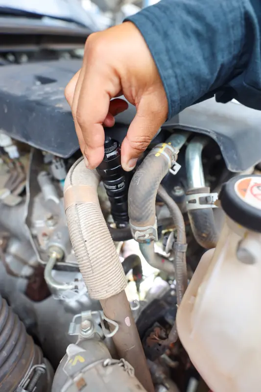  <div class='credito_fotos'>Foto: Bruno Cecim / Ag.Pará &nbsp;&nbsp;|&nbsp;&nbsp; <a href='/midias/2025/originais/20250212122722-GF00022975-F00377343.jpg' download><i class='fa-solid fa-download'></i> Download</a></div>