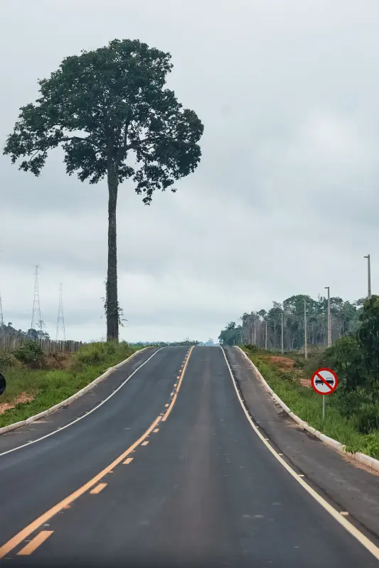  <div class='credito_fotos'>Foto: Bruno Cruz / Ag. Pará &nbsp;&nbsp;|&nbsp;&nbsp; <a href='/midias/2025/originais/20250215115800-GF00023006-F00378260.jpg' download><i class='fa-solid fa-download'></i> Download</a></div>