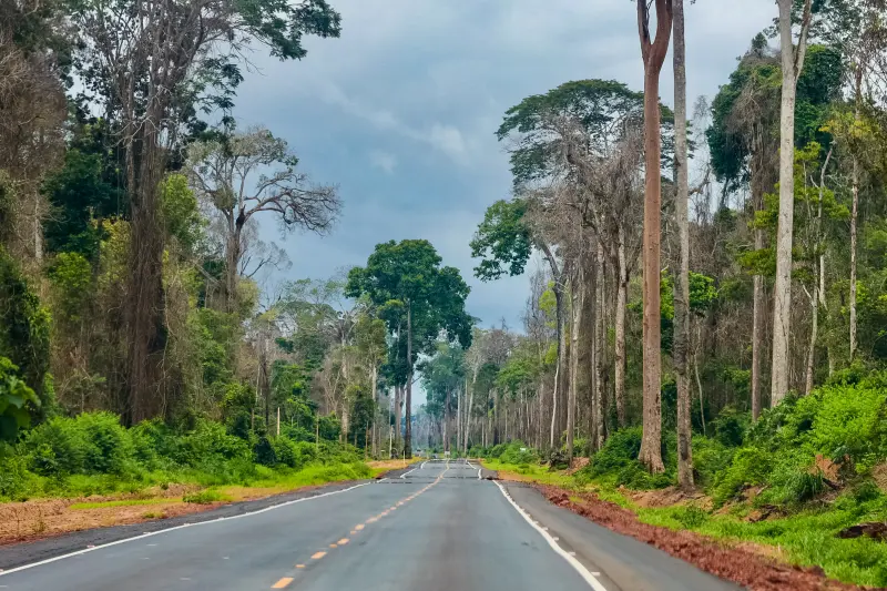  <div class='credito_fotos'>Foto: Bruno Cruz / Ag. Pará &nbsp;&nbsp;|&nbsp;&nbsp; <a href='/midias/2025/originais/20250215115832-GF00023006-F00378287.jpg' download><i class='fa-solid fa-download'></i> Download</a></div>