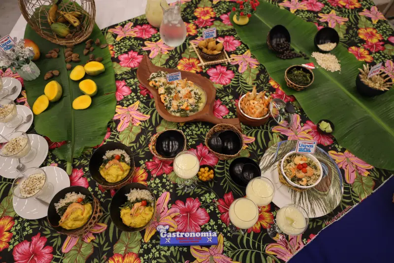  <div class='credito_fotos'>Foto: Bruno Cecim / Ag.Pará &nbsp;&nbsp;|&nbsp;&nbsp; <a href='/midias/2025/originais/20250217130255-GF00023011-F00378514.jpg' download><i class='fa-solid fa-download'></i> Download</a></div>