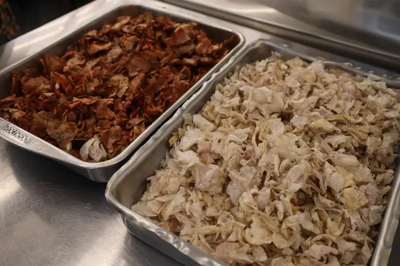  <div class='credito_fotos'>Foto: Bruno Cecim / Ag.Pará &nbsp;&nbsp;|&nbsp;&nbsp; <a href='/midias/2025/originais/20250217130305-GF00023011-F00378521.jpg' download><i class='fa-solid fa-download'></i> Download</a></div>