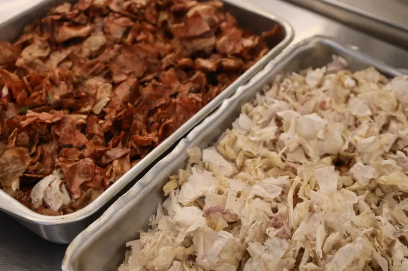  <div class='credito_fotos'>Foto: Bruno Cecim / Ag.Pará &nbsp;&nbsp;|&nbsp;&nbsp; <a href='/midias/2025/originais/20250217130306-GF00023011-F00378522.jpg' download><i class='fa-solid fa-download'></i> Download</a></div>