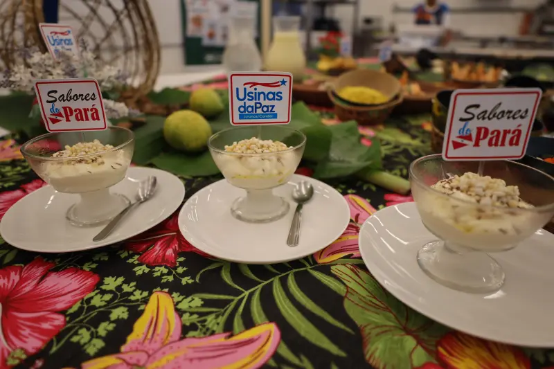  <div class='credito_fotos'>Foto: Bruno Cecim / Ag.Pará &nbsp;&nbsp;|&nbsp;&nbsp; <a href='/midias/2025/originais/20250217130319-GF00023011-F00378531.jpg' download><i class='fa-solid fa-download'></i> Download</a></div>