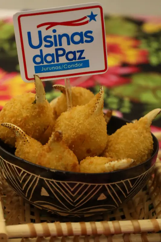  <div class='credito_fotos'>Foto: Bruno Cecim / Ag.Pará &nbsp;&nbsp;|&nbsp;&nbsp; <a href='/midias/2025/originais/20250217130329-GF00023011-F00378538.jpg' download><i class='fa-solid fa-download'></i> Download</a></div>