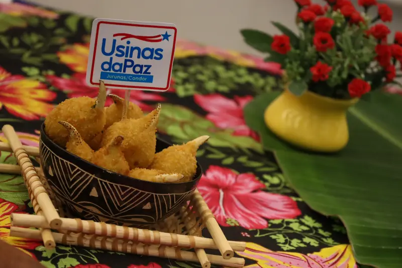  <div class='credito_fotos'>Foto: Bruno Cecim / Ag.Pará &nbsp;&nbsp;|&nbsp;&nbsp; <a href='/midias/2025/originais/20250217130338-GF00023011-F00378544.jpg' download><i class='fa-solid fa-download'></i> Download</a></div>